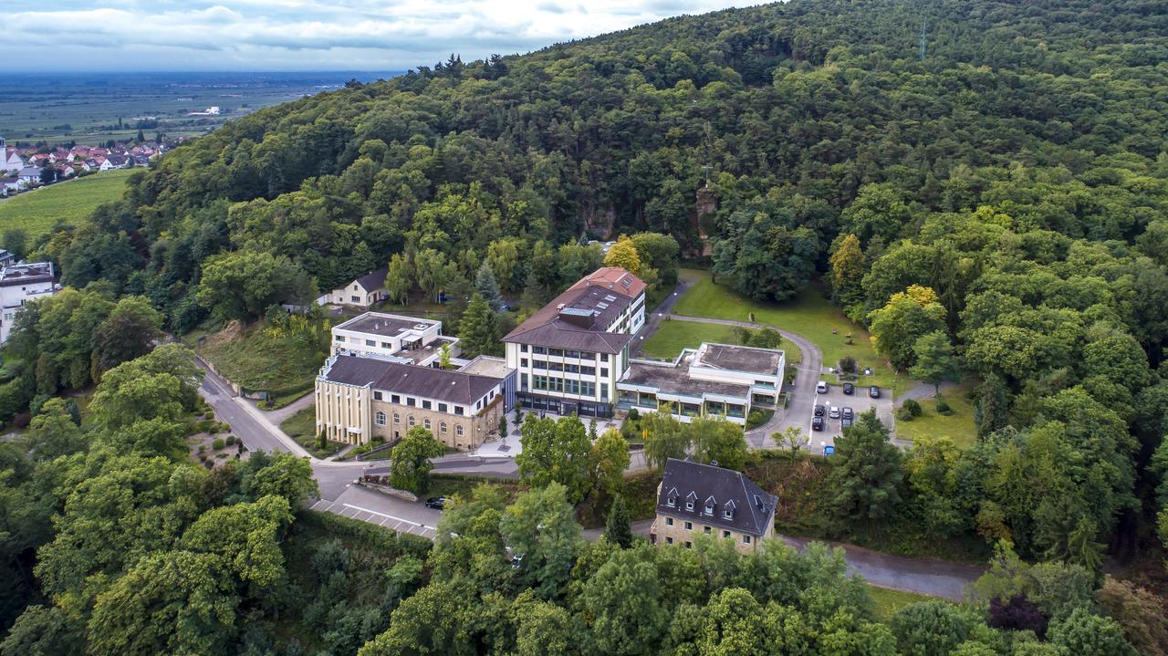 Kloster Neustadt Neustadt an der Weinstraße Exterior photo